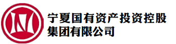 宁夏国有资产投资控股集团有限公司