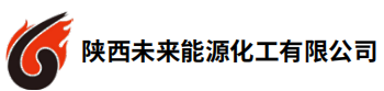 陕西未来能源化工有限公司